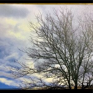 8x10 original print on thick canvas frame/ signed